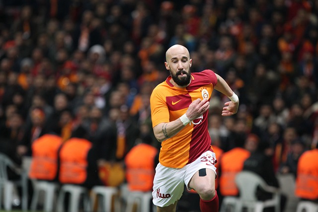 力和支持 力和支持